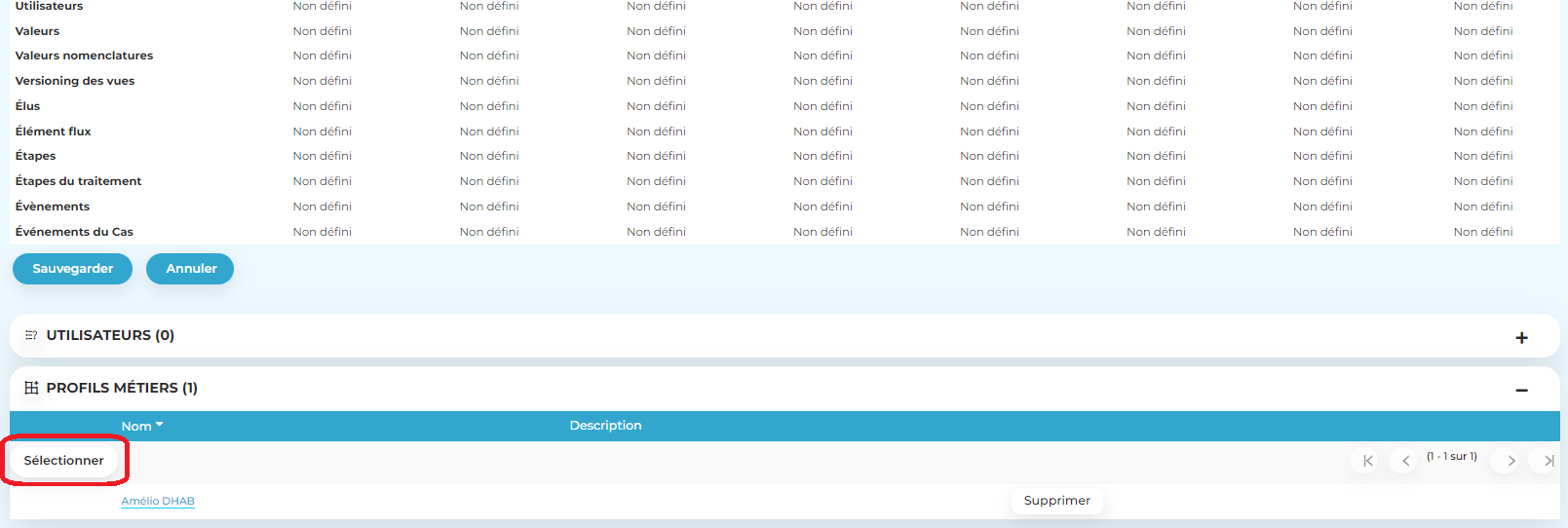 Masquer des sous-panels